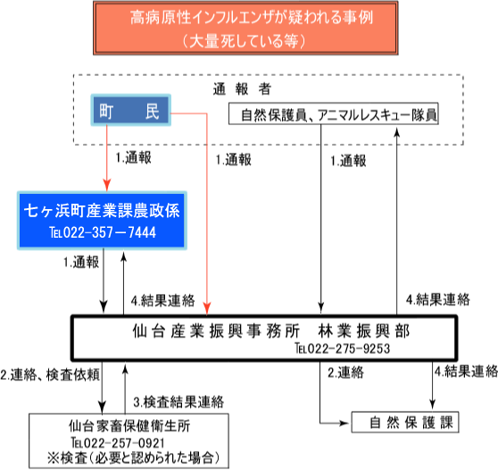 鳥インフルエンザに関する連絡網