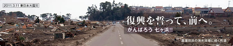 復興を誓って、前へ。がんばろう!! 七ヶ浜:菖蒲田浜の海水浴場に続く町道