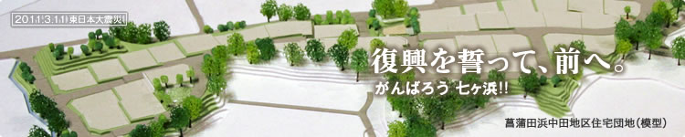 復興を誓って、前へ。がんばろう!! 七ヶ浜:菖蒲田浜中田地区住宅団地(模型)