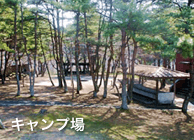 キャンプ場