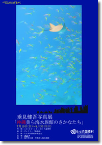 垂見健吾写真展「沖縄美ら海水族館のさかなたち」パンフレット表