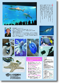 垂見健吾写真展「沖縄美ら海水族館のさかなたち」パンフレット裏